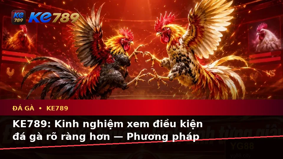 KE789: Kinh nghiệm xem điều kiện đá gà rõ ràng hơn — Phương pháp ghi chú và so sánh dữ liệu