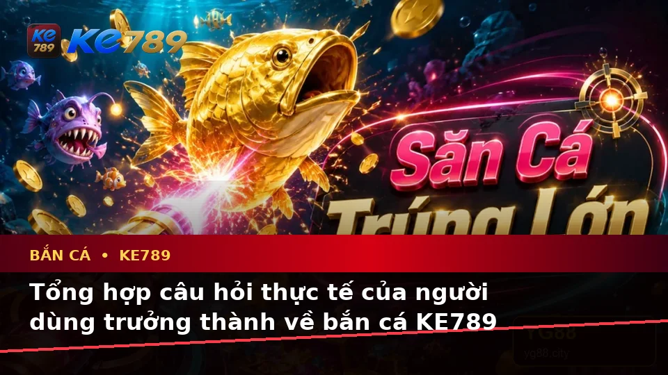 Bắn Cá KE789: Tổng Hợp Câu Hỏi Thực Tế Của Người Mới Về Bắn Cá Và Săn Thưởng Tại ke789pg.love