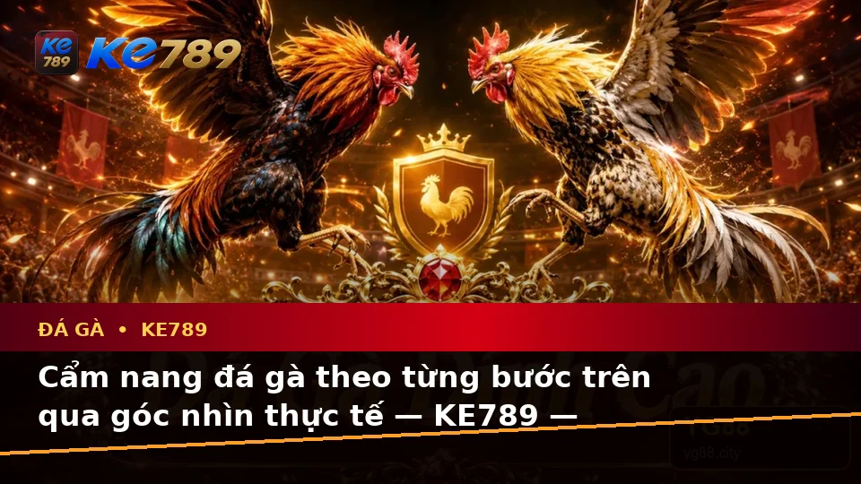 Cẩm nang đá gà theo từng bước trên qua góc nhìn thực tế — KE789 — Cách đối chiếu thông tin trước khi tham gia