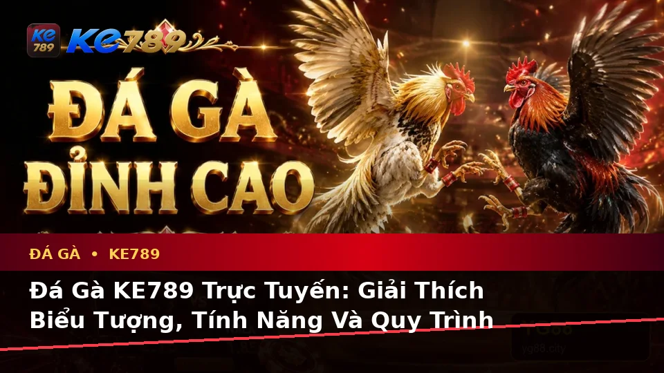 Đá Gà KE789 Trực Tuyến: Giải Thích Biểu Tượng, Tính Năng Và Quy Trình Quản Lý Phiên Chơi Cho Người Mới Tại ke789pg.love