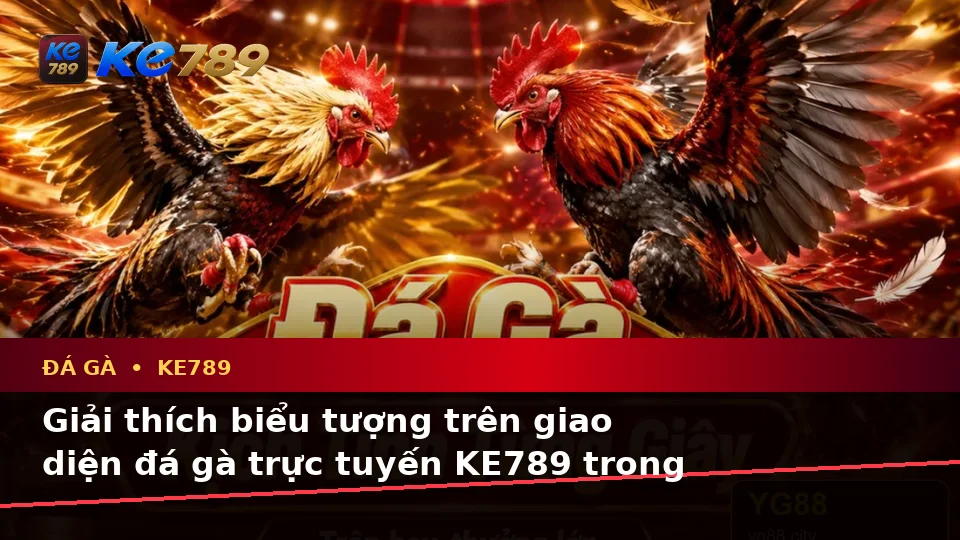 Đá Gà KE789 Trực Tuyến: Giải Thích Biểu Tượng, Tính Năng Và Quy Trình Quản Lý Phiên Chơi Cho Người Mới Tại ke789pg.love