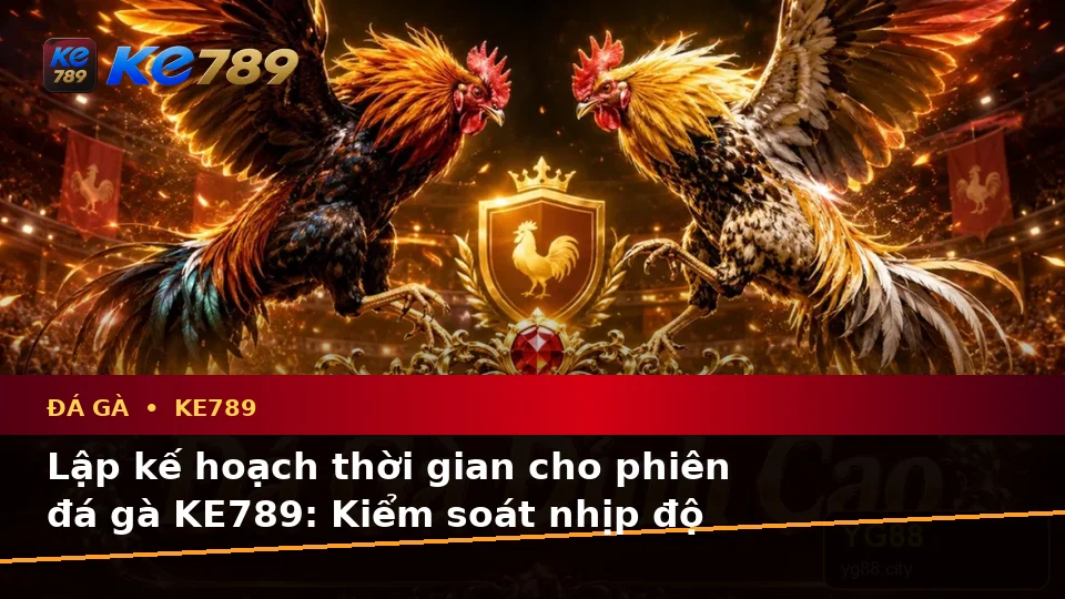 Lập Kế Hoạch Thời Gian, Ngân Sách Và Lịch Sử Phiên Đá Gà KE789 Cho Người Mới Tại ke789pg.love