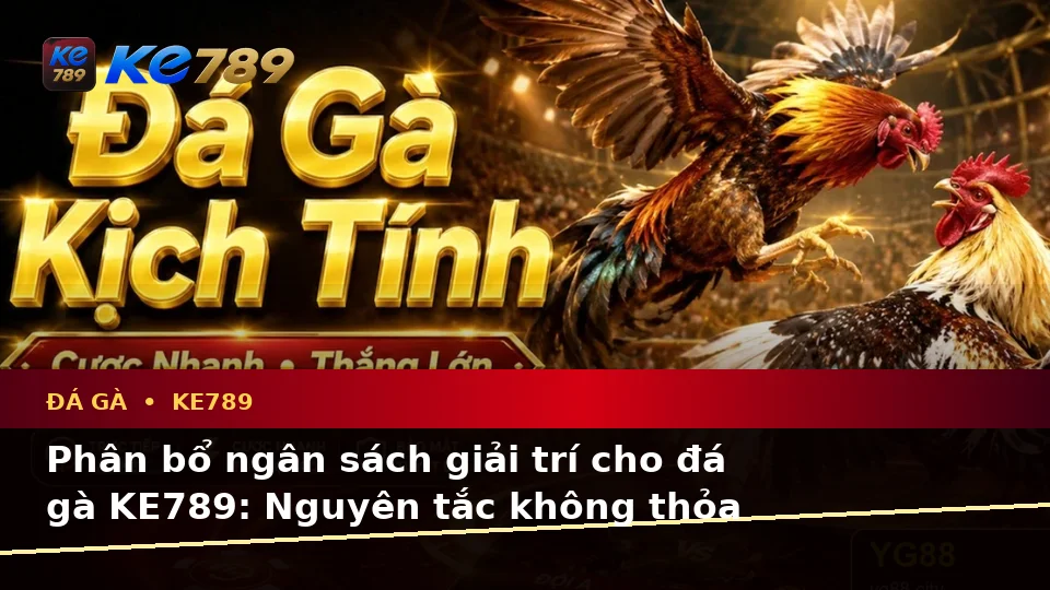 Lập Kế Hoạch Thời Gian, Ngân Sách Và Lịch Sử Phiên Đá Gà KE789 Cho Người Mới Tại ke789pg.love
