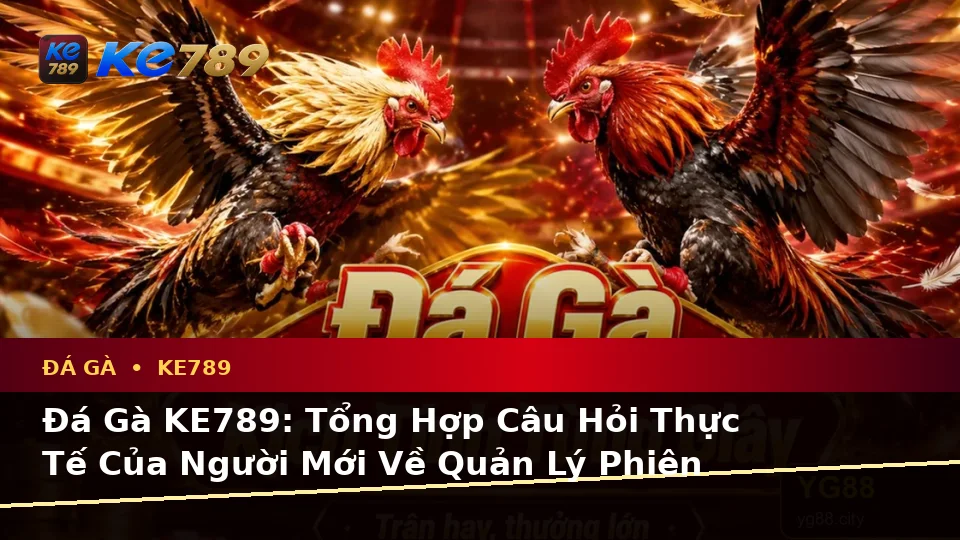 Đá Gà KE789: Tổng Hợp Câu Hỏi Thực Tế Của Người Mới Về Quản Lý Phiên Chơi Tại ke789pg.love