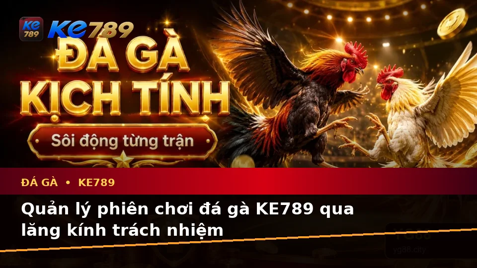 Đá Gà KE789: Tổng Hợp Câu Hỏi Thực Tế Của Người Mới Về Quản Lý Phiên Chơi Tại ke789pg.love