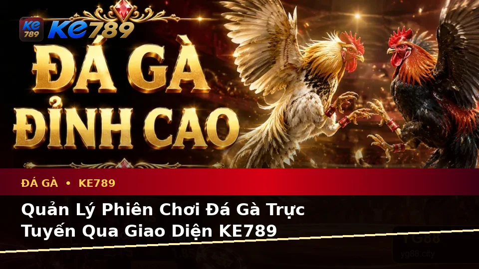 Đá Gà KE789 Trực Tuyến Và Quản Lý Phiên Chơi: Giải Thích Thuật Ngữ Cốt Lõi Cho Người Mới Tại ke789pg.love