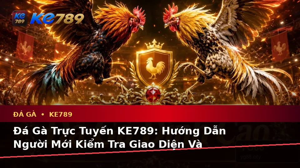 Đá Gà Trực Tuyến KE789: Hướng Dẫn Người Mới Kiểm Tra Giao Diện Và Quản Lý Phiên Chơi Tại ke789pg.love