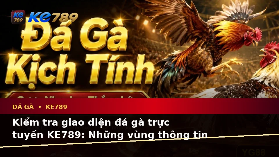 Đá Gà Trực Tuyến KE789: Hướng Dẫn Người Mới Kiểm Tra Giao Diện Và Quản Lý Phiên Chơi Tại ke789pg.love