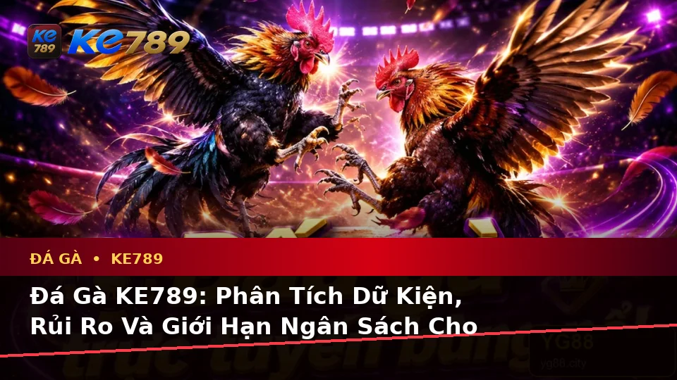 Đá Gà KE789: Phân Tích Dữ Kiện, Rủi Ro Và Giới Hạn Ngân Sách Cho Người Mới Tại ke789pg.love