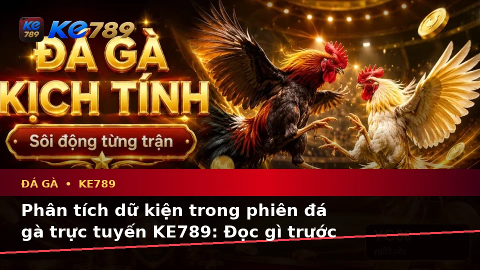 Đá Gà KE789: Phân Tích Dữ Kiện, Rủi Ro Và Giới Hạn Ngân Sách Cho Người Mới Tại ke789pg.love