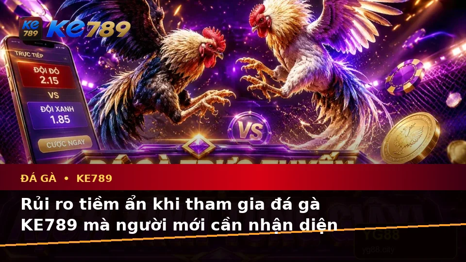 Đá Gà KE789: Phân Tích Dữ Kiện, Rủi Ro Và Giới Hạn Ngân Sách Cho Người Mới Tại ke789pg.love