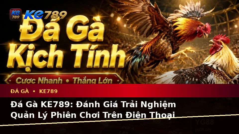Đá Gà KE789: Đánh Giá Trải Nghiệm Quản Lý Phiên Chơi Trên Điện Thoại Cho Người Mới – ke789pg.love
