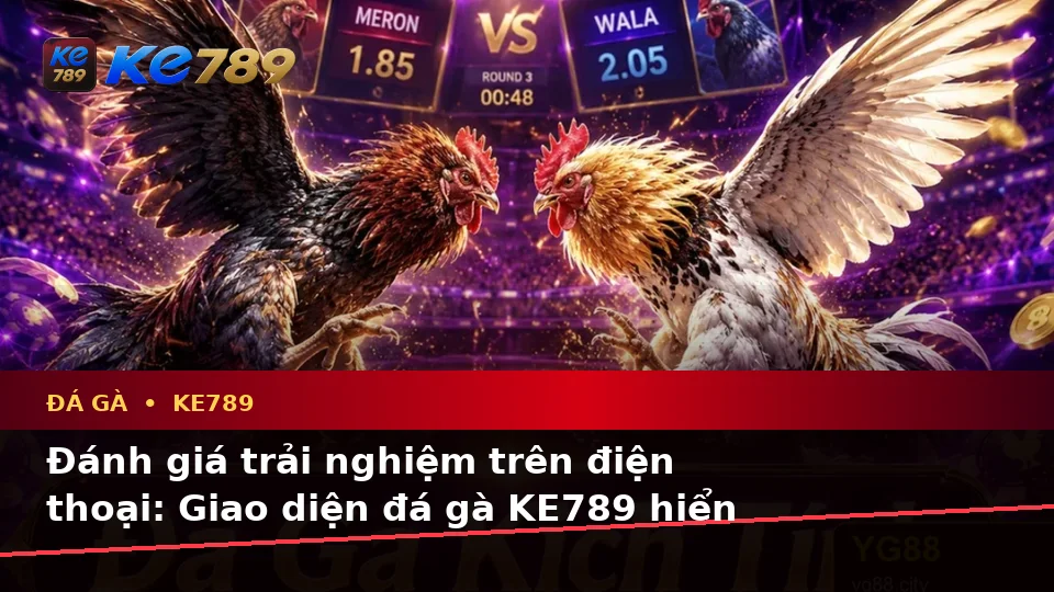 Đá Gà KE789: Đánh Giá Trải Nghiệm Quản Lý Phiên Chơi Trên Điện Thoại Cho Người Mới – ke789pg.love