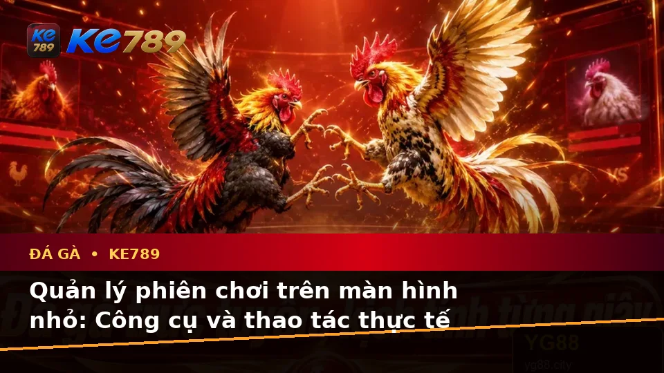 Đá Gà KE789: Đánh Giá Trải Nghiệm Quản Lý Phiên Chơi Trên Điện Thoại Cho Người Mới – ke789pg.love
