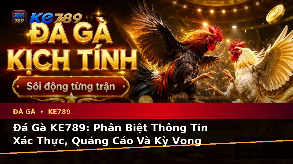 Đá Gà KE789: Phân Biệt Thông Tin Xác Thực, Quảng Cáo Và Kỳ Vọng Thực Tế Về Phiên Chơi Tại ke789pg.love