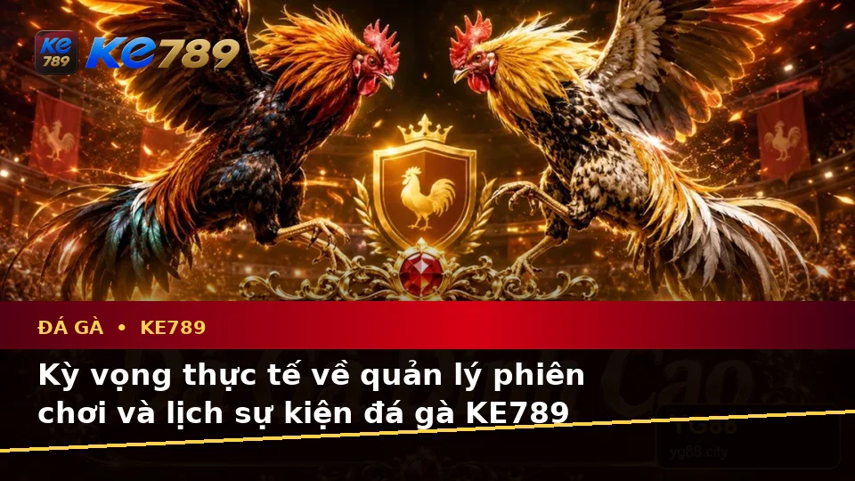 Đá Gà KE789: Phân Biệt Thông Tin Xác Thực, Quảng Cáo Và Kỳ Vọng Thực Tế Về Phiên Chơi Tại ke789pg.love