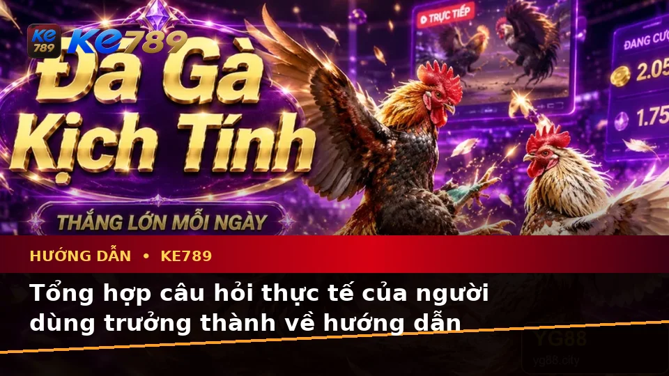 Tổng Hợp Câu Hỏi Thực Tế Về Hướng Dẫn KE789 Dành Cho Người Mới: Tin Mới, Ưu Đãi Và Điều Kiện Khuyến Mãi Tại ke789pg.love