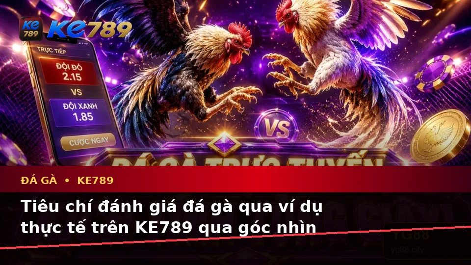 Tiêu chí đánh giá đá gà qua ví dụ thực tế trên KE789 qua góc nhìn thực tế