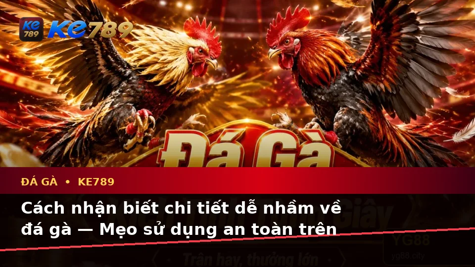 Cách nhận biết chi tiết dễ nhầm về đá gà — Mẹo sử dụng an toàn trên thiết bị di động — KE789